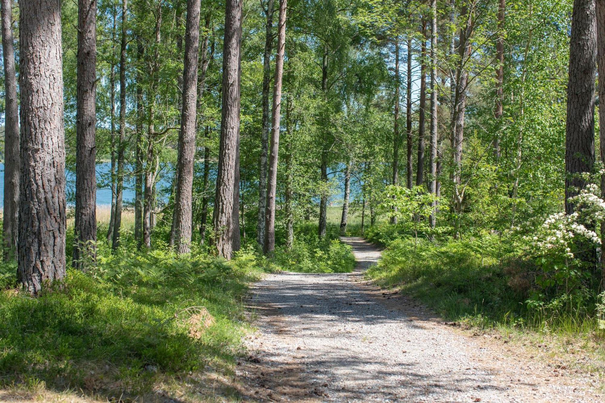 Bergs Gard & Hallsvikens Gard Västerljung Exteriér fotografie